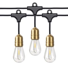 10-Light Plug-in Gold Edison Outdoor String Lights